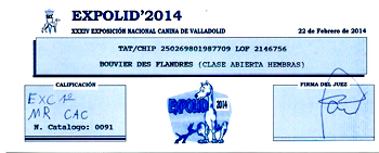 HAPPY LADY du Clos de la Luette &copy; Elevage du Clos de la Luette